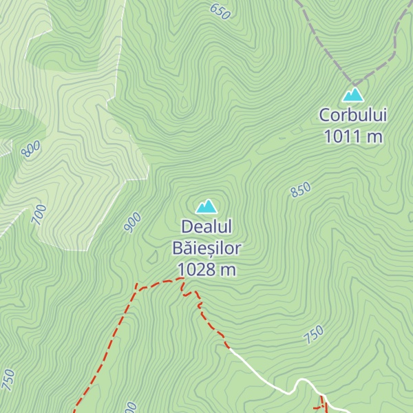 Map of Dealul Băieșilor