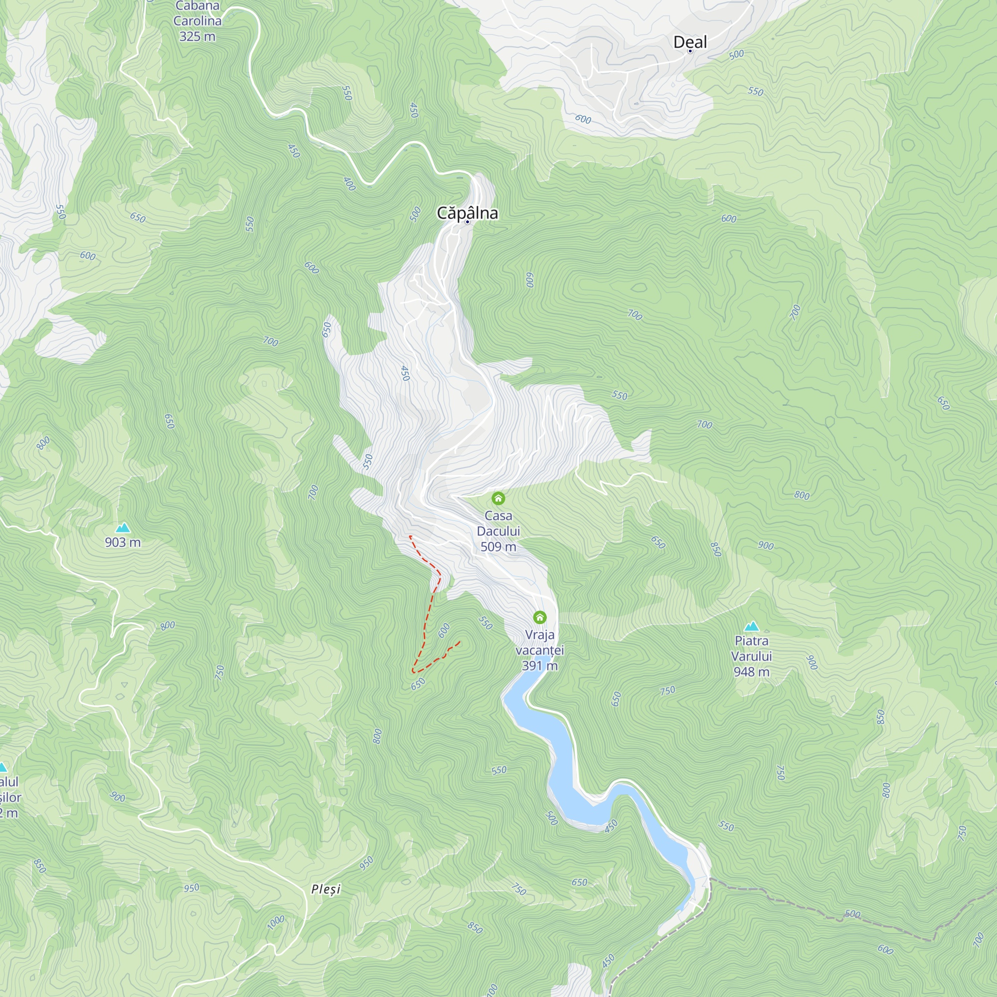 Casa Dacului map