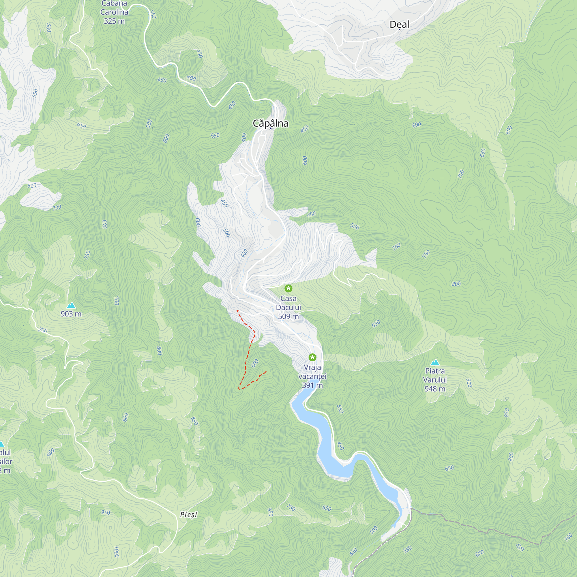 Casa Dacului map