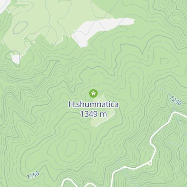 Map of H.shumnatica