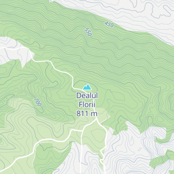 Map of Dealul Florii