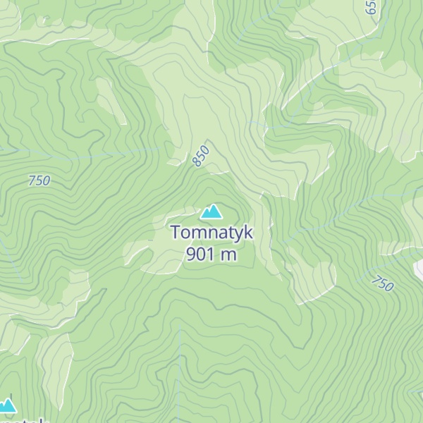 Map of Tomnatyk