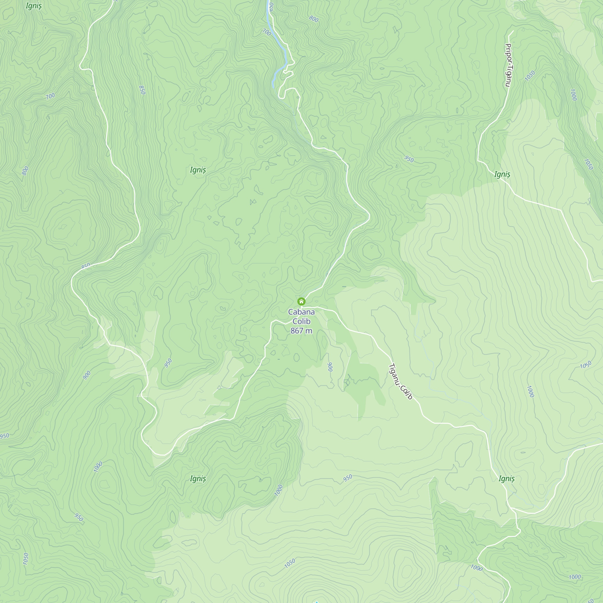 Cabana Colib map