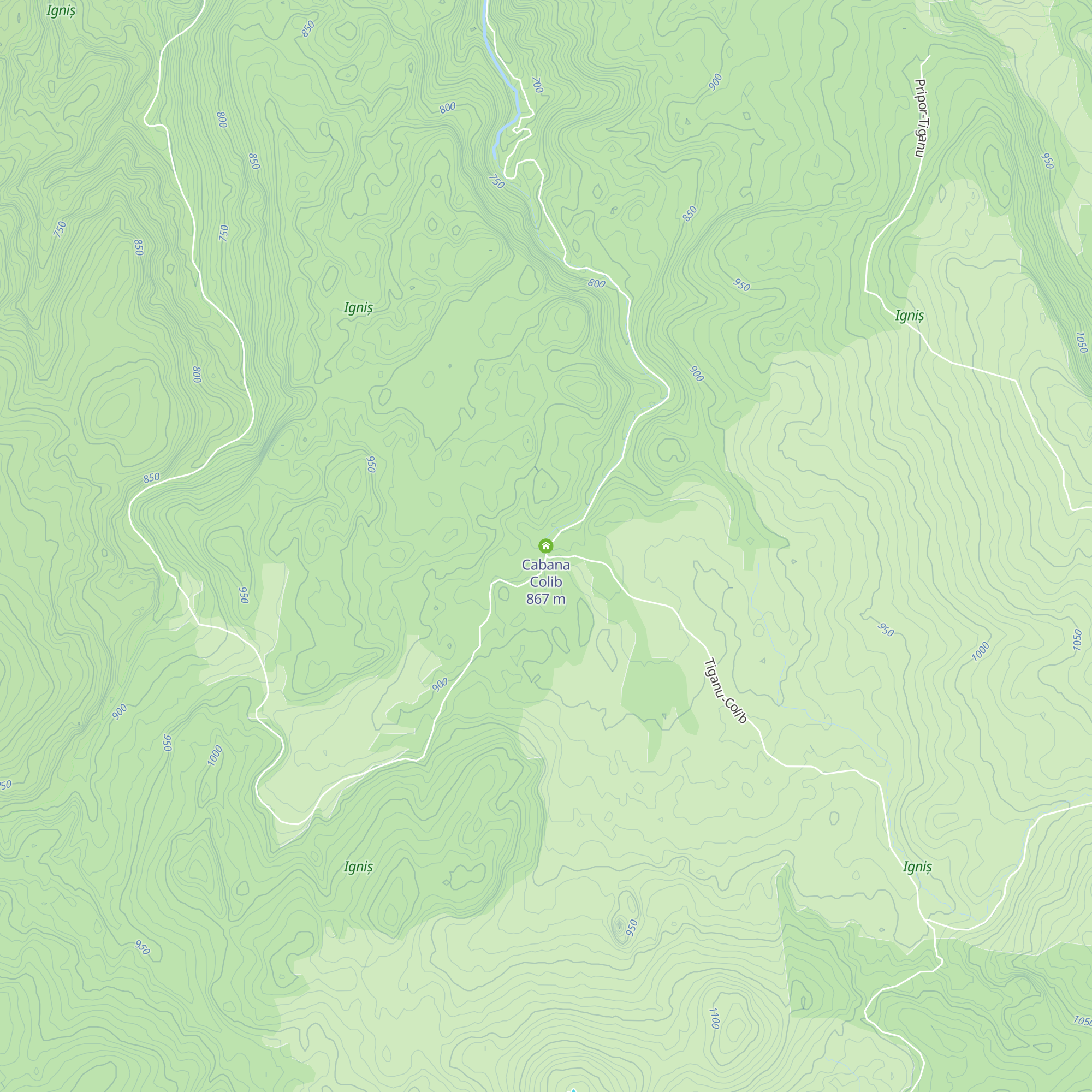 Cabana Colib map
