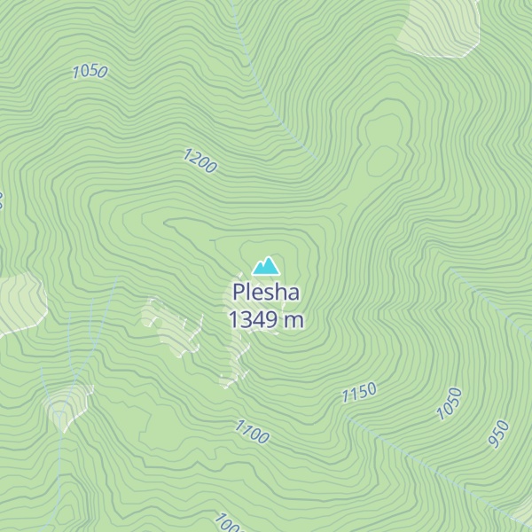 Map of Plesha