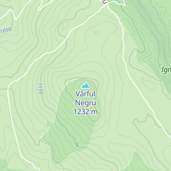 Map of Vârful Negru
