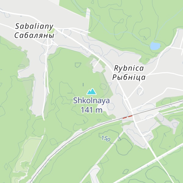 Map of Shkolnaya