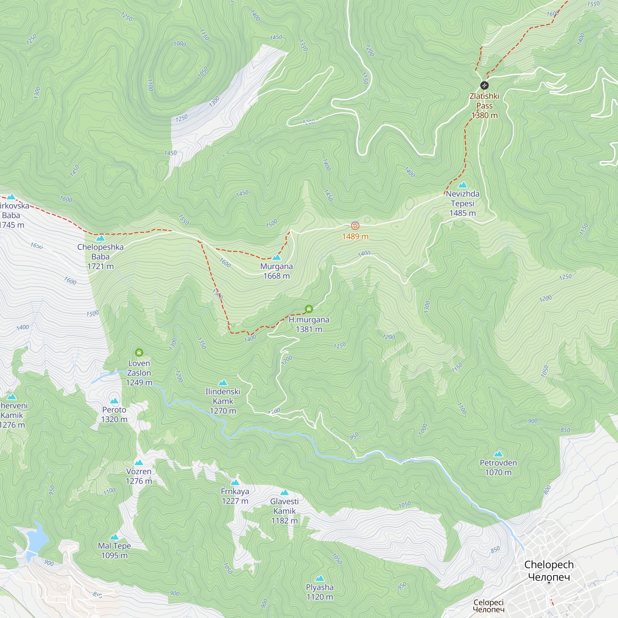 H.murgana map
