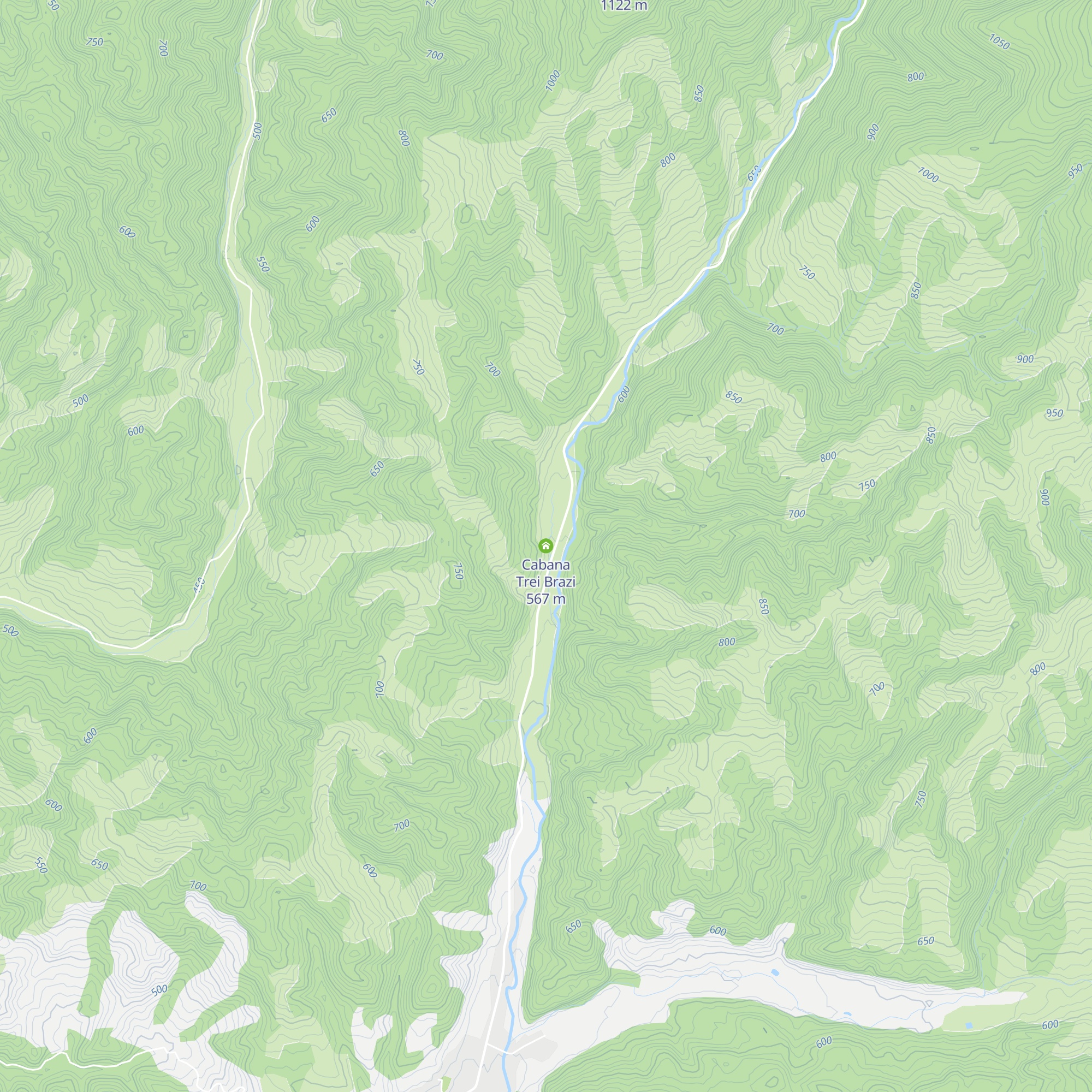 Cabana Trei Brazi map