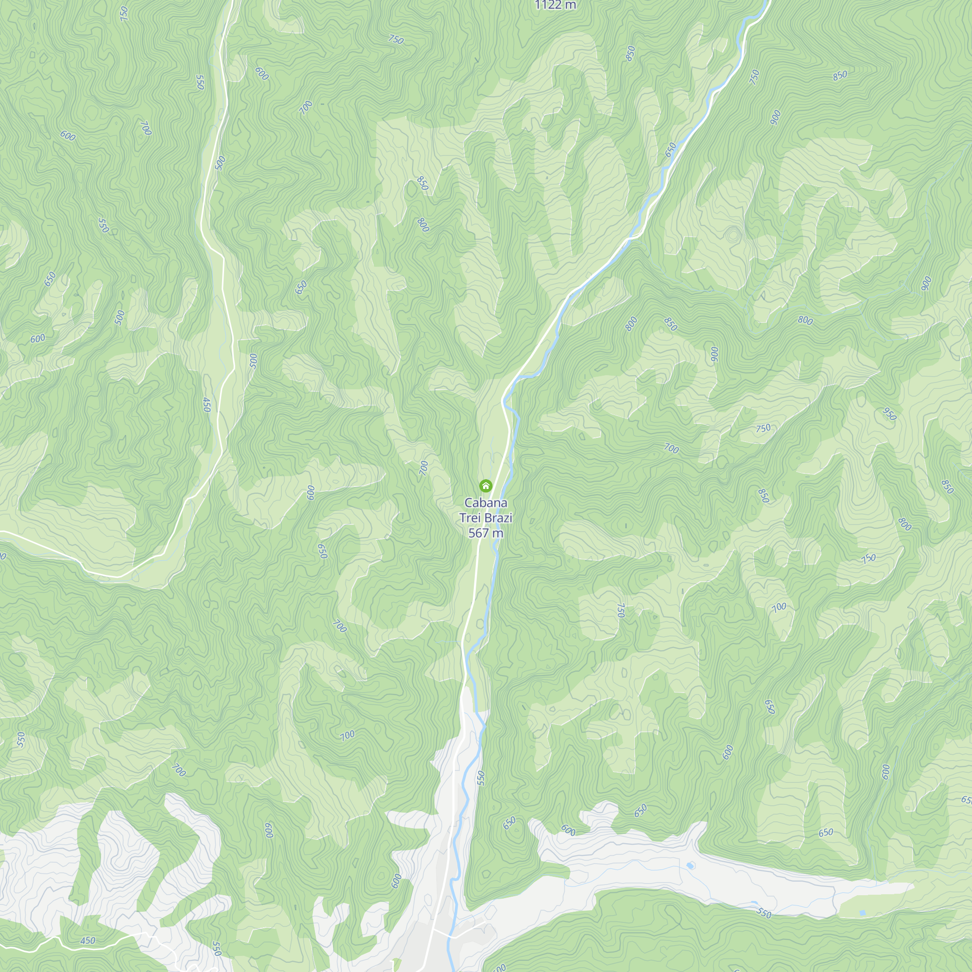 Cabana Trei Brazi map