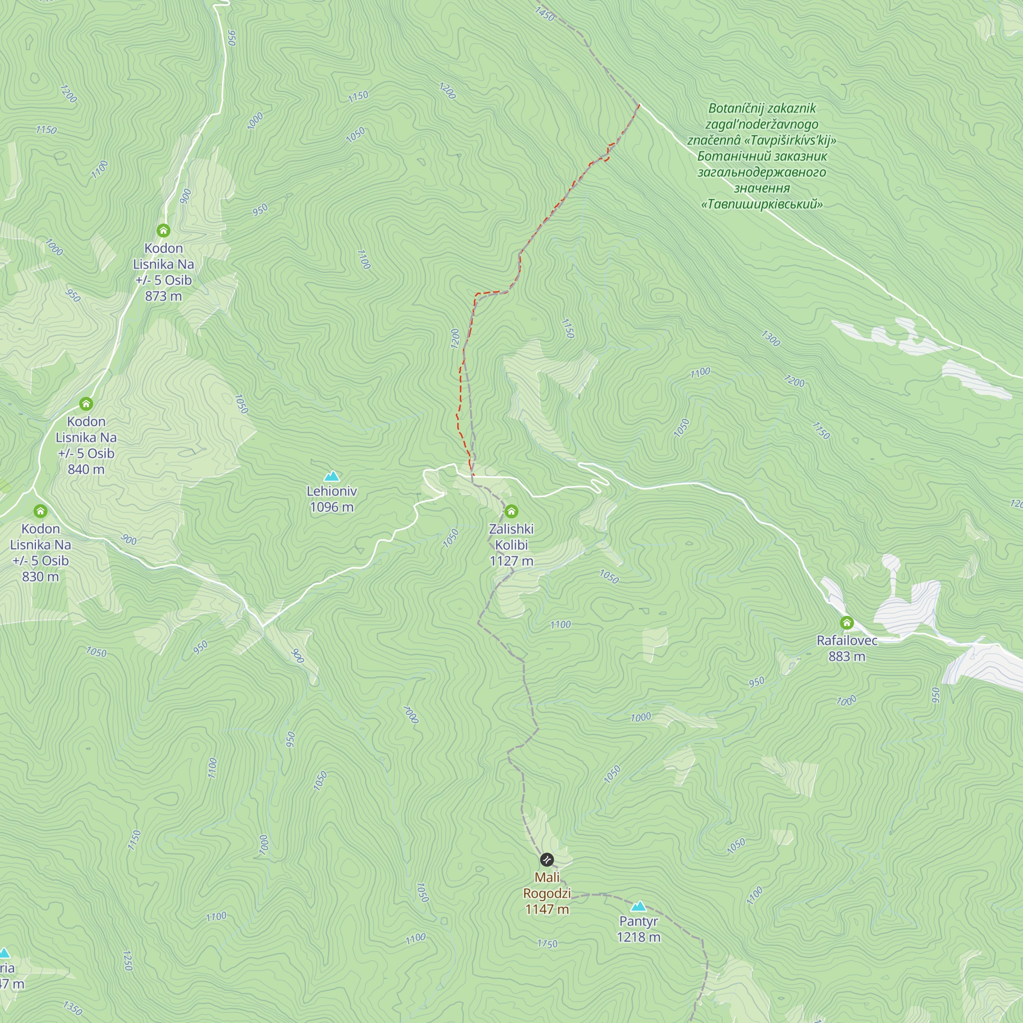 Zalishki Kolibi map