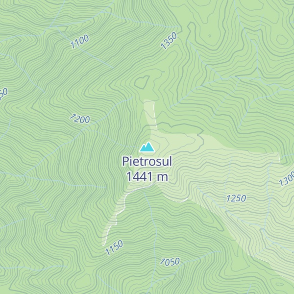 Map of Pietrosul