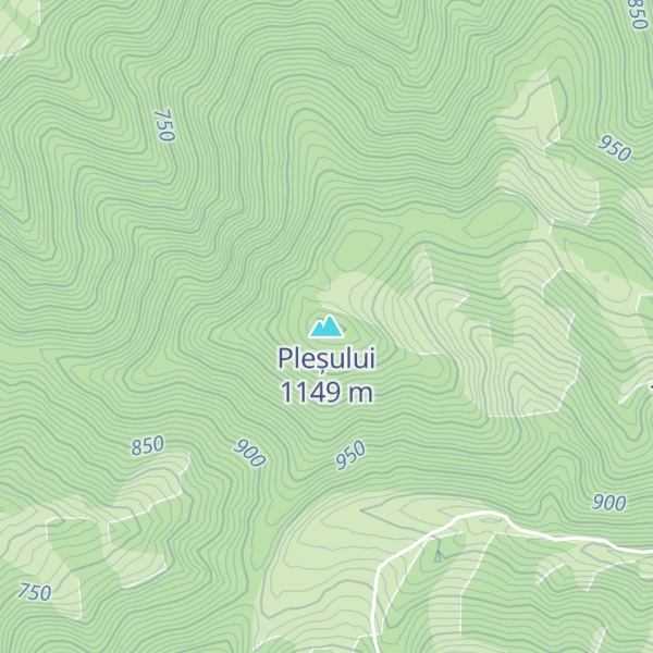 Map of Pleșului