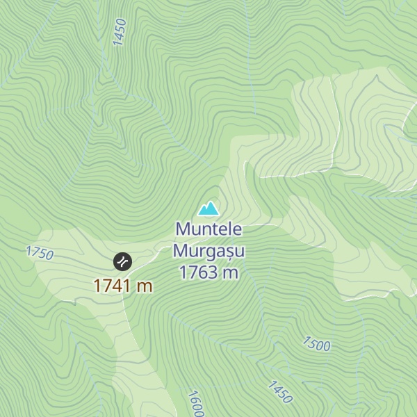 Map of Muntele Murgașu