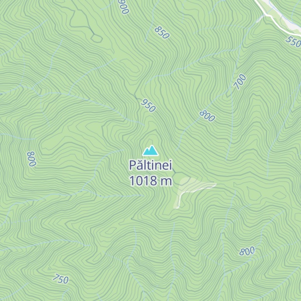 Map of Păltinei