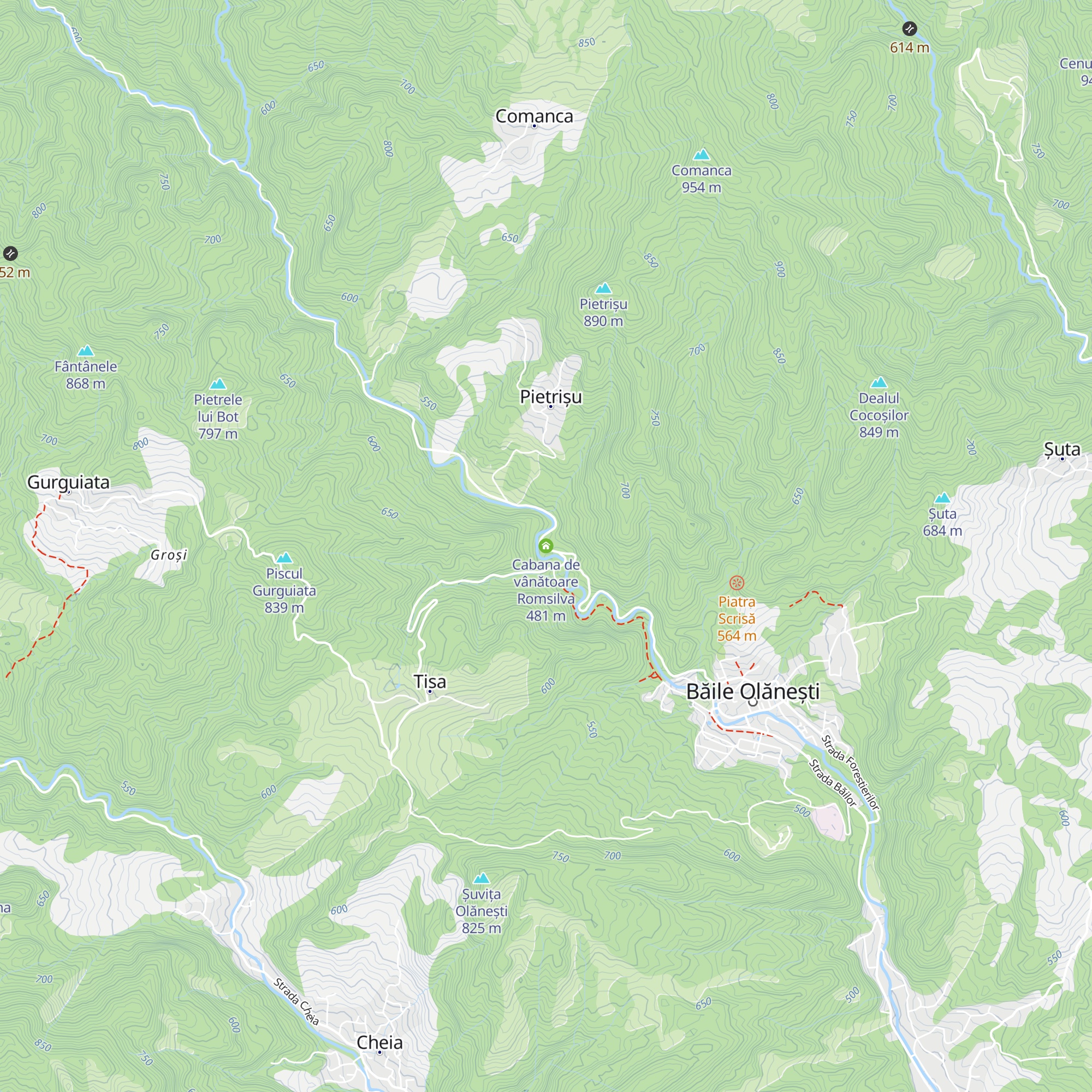Cabana de vânătoare Romsilva map