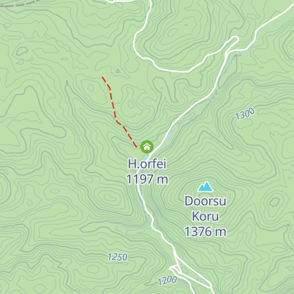 Map of H.orfei