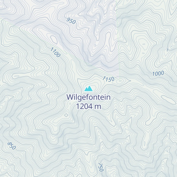 Map of Wilgefontein