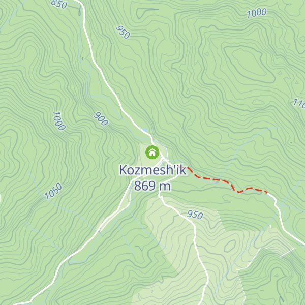 Map of Kozmesh'ik