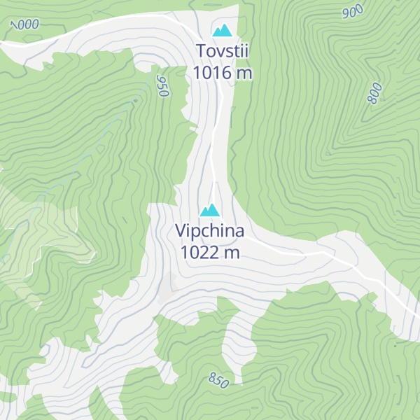 Map of Vipchina