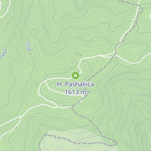 Map of H. Pashaliica