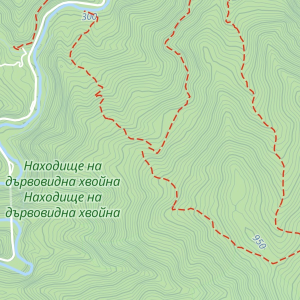 Map of Momina Slza