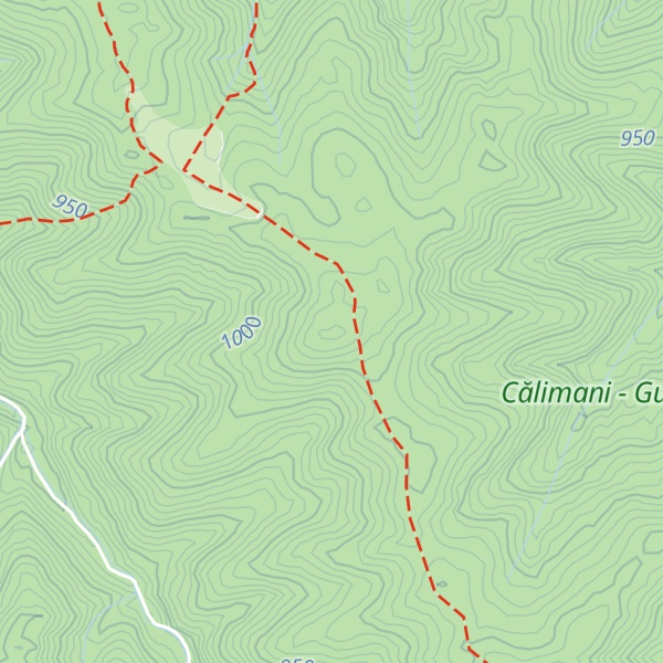 Map of Plaiul Borții