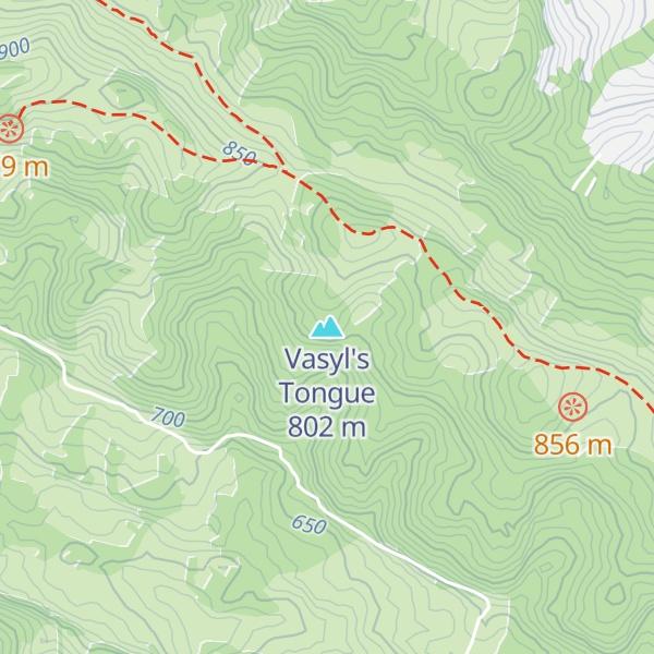 Map of Vasyl's Tongue