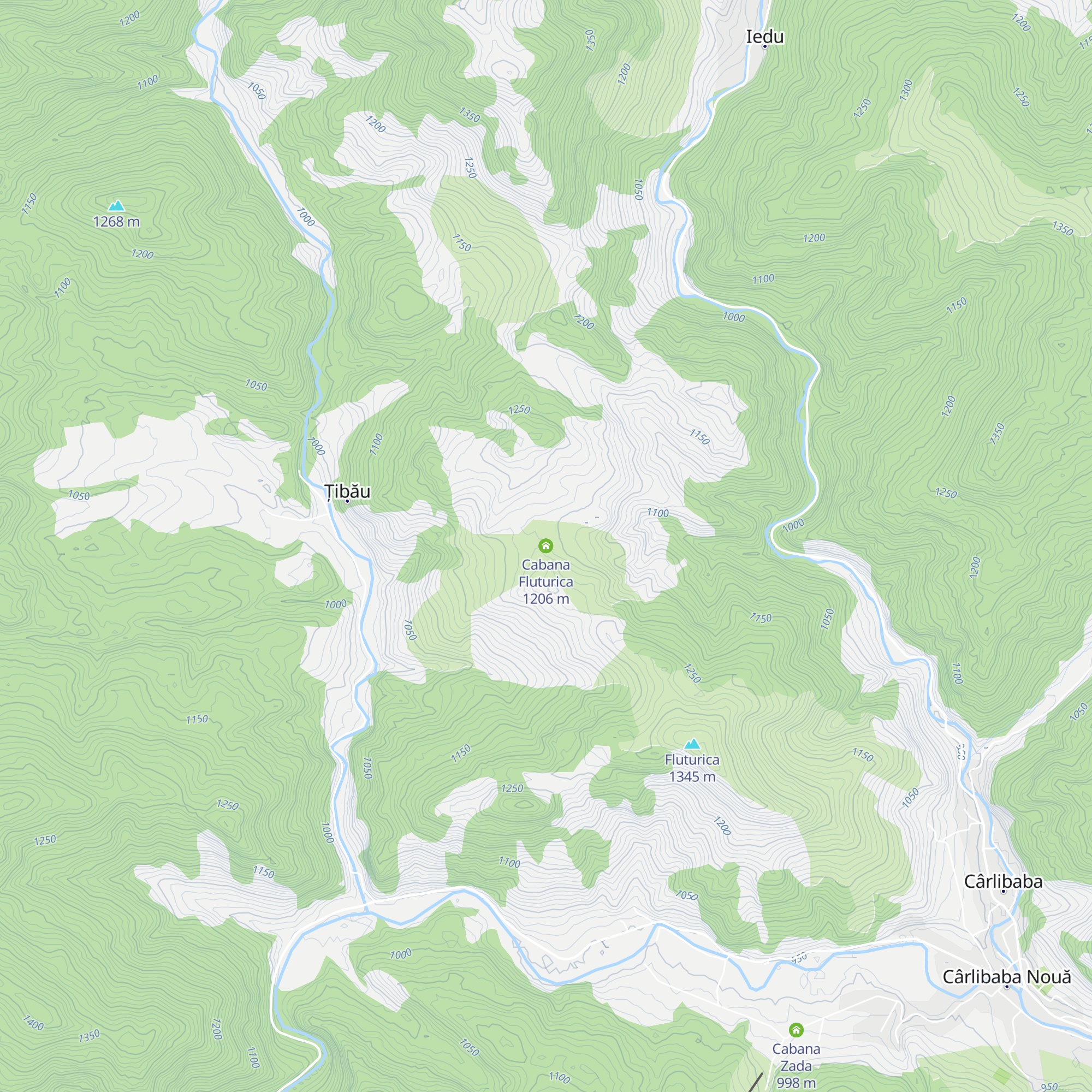 Cabana Fluturica map