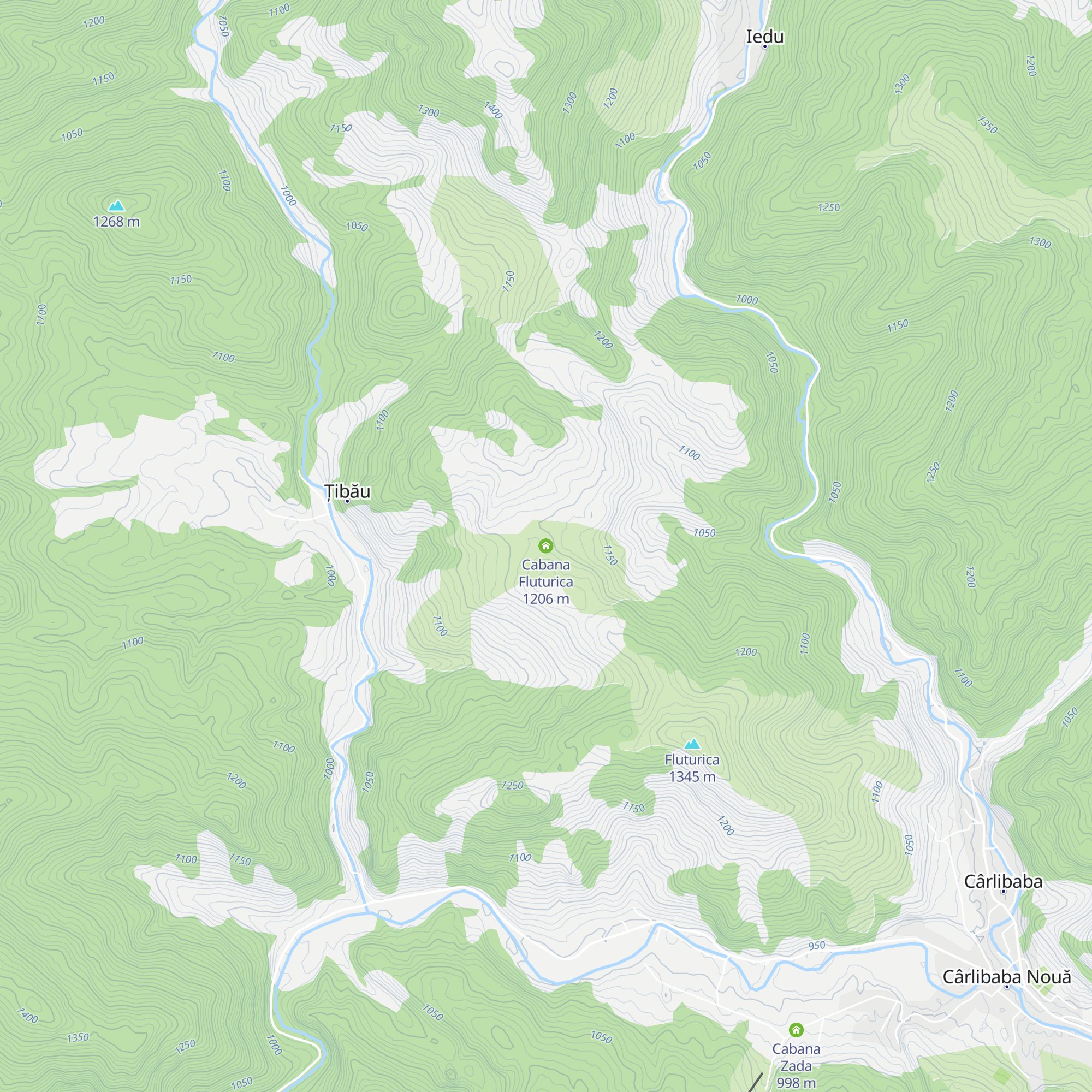 Cabana Fluturica map