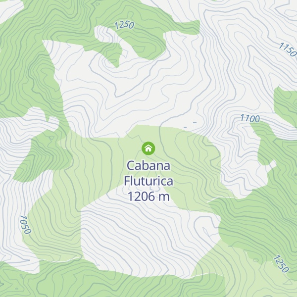 Map of Cabana Fluturica