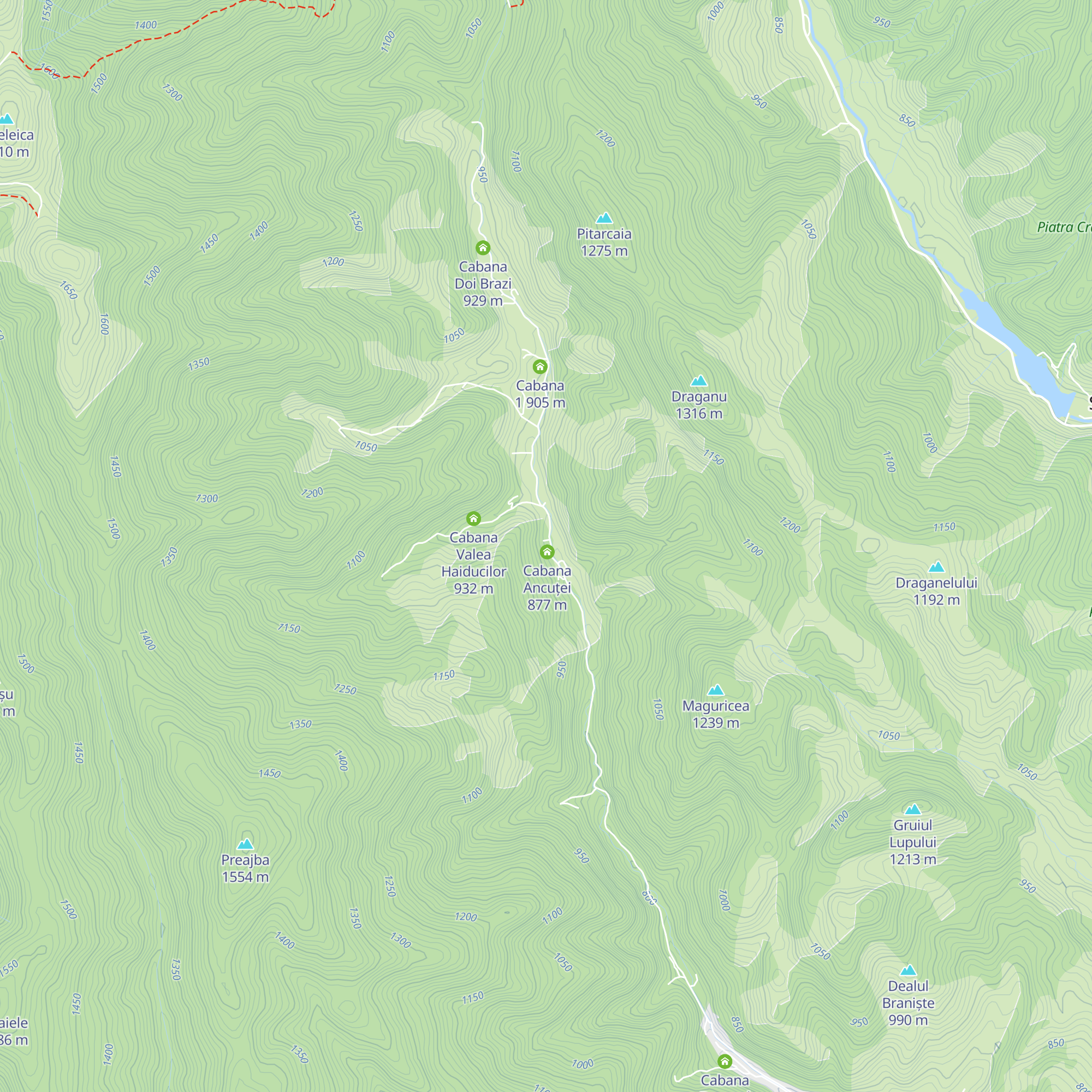 Cabana Soarelui Rucăr map
