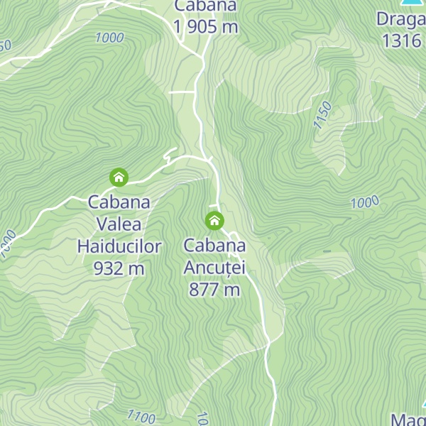 Map of Cabana Soarelui Rucăr