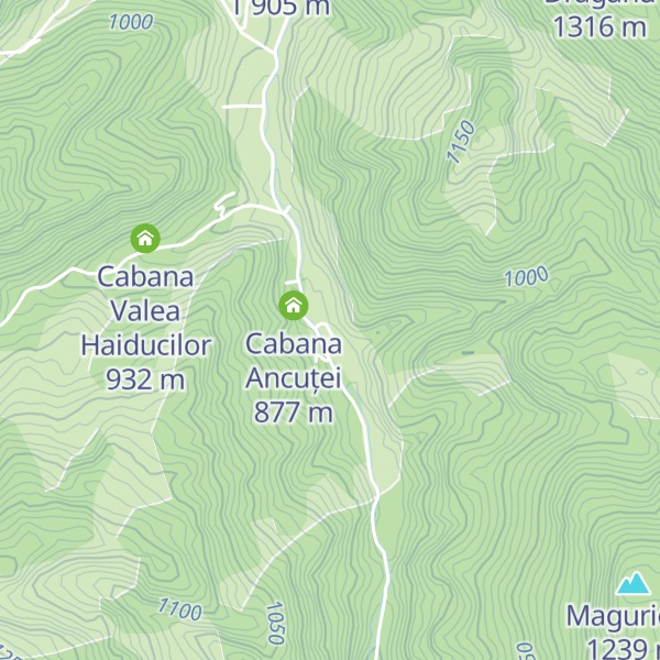 Map of Cabana Genovita Rucăr