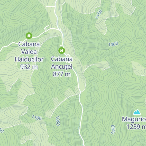 Map of Cabana Râuşor