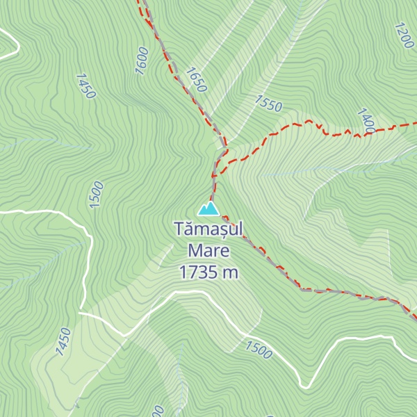 Map of Tămașul Mare