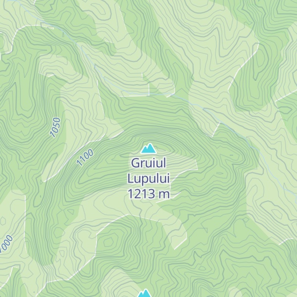 Map of Gruiul Lupului