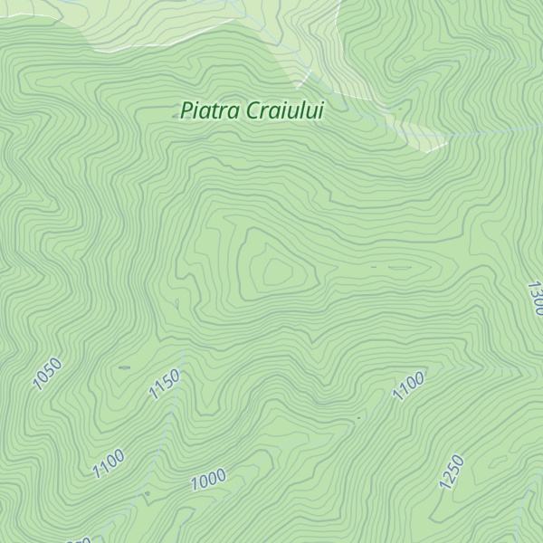 Map of Paltinet