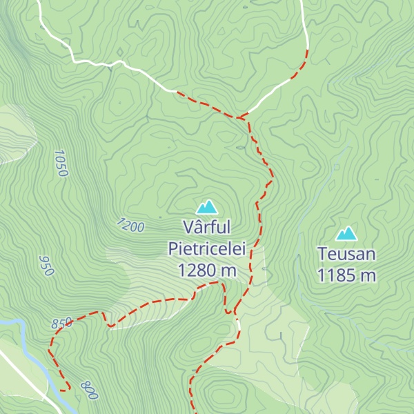 Map of Vârful Pietricelei