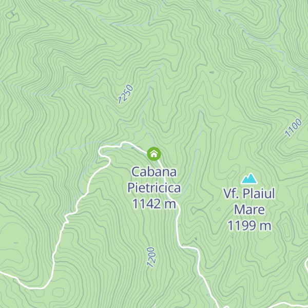Map of Cabana Pietricica