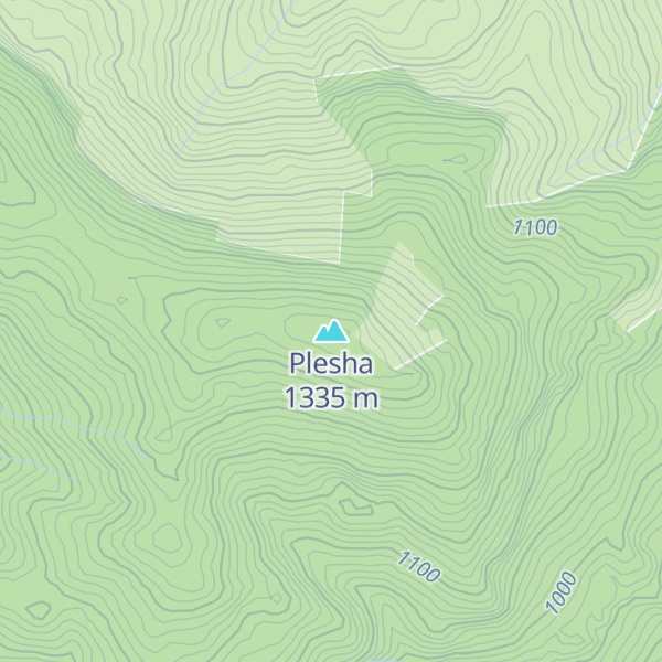 Map of Plesha