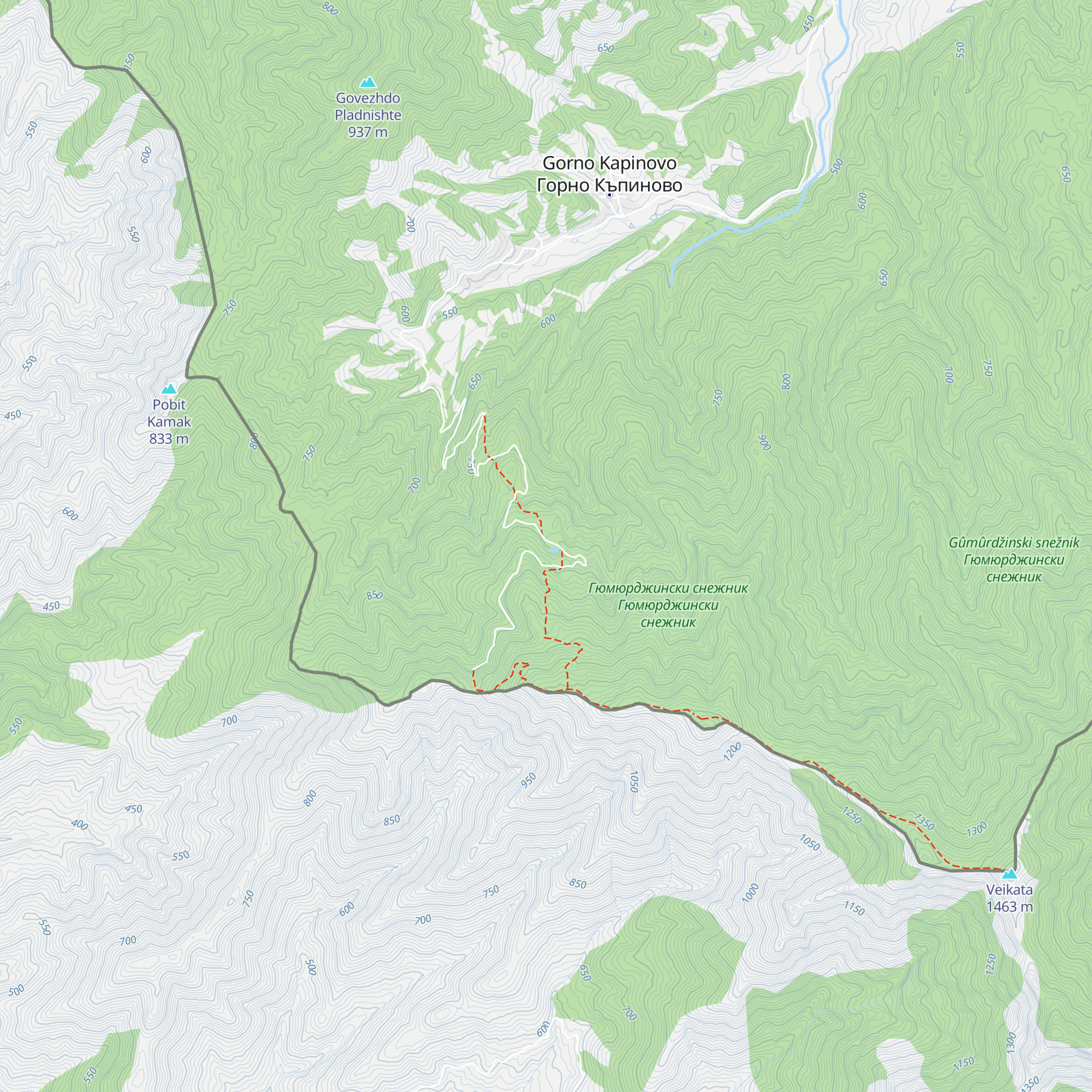 Hvoinova Polyana map
