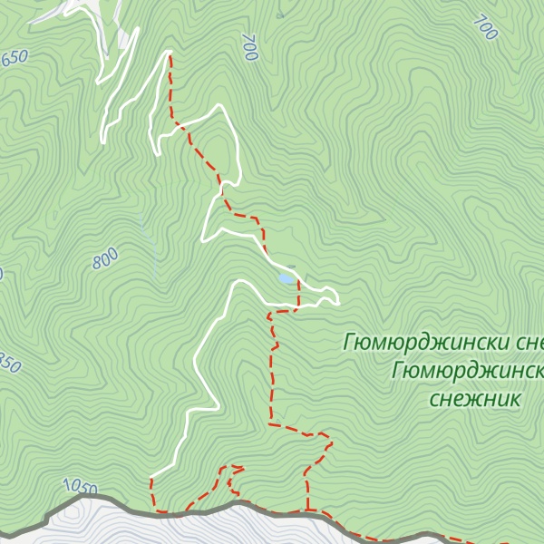 Map of Hvoinova Polyana