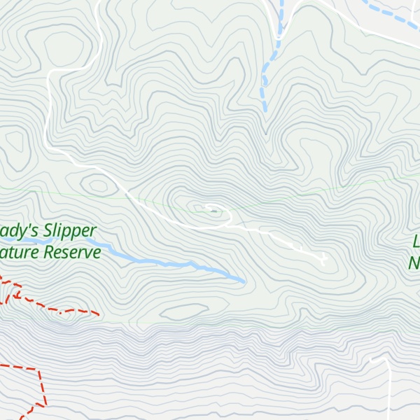 Map of Lady's Slipper