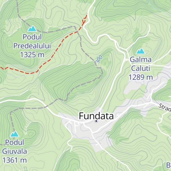 Map of Vf. Găvenii
