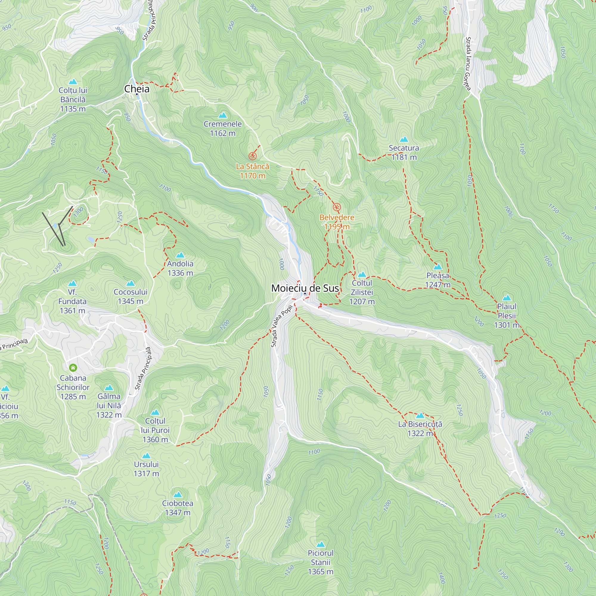 Cabana Bradul map