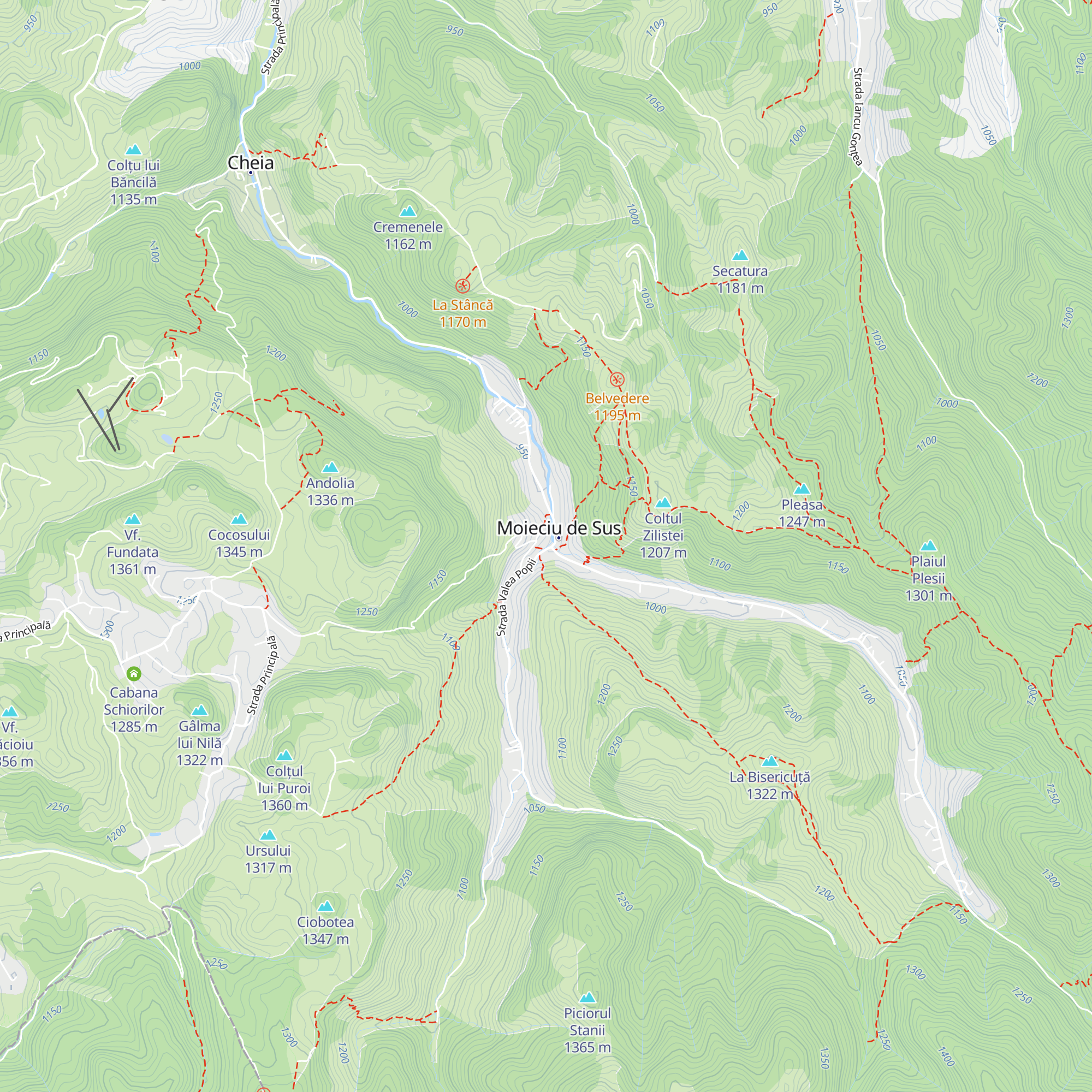 Cabana Bradul map
