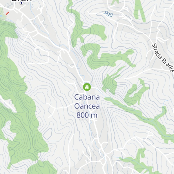 Map of Cabana Oancea