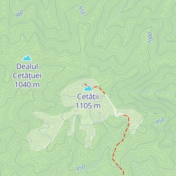 Map of Cetății