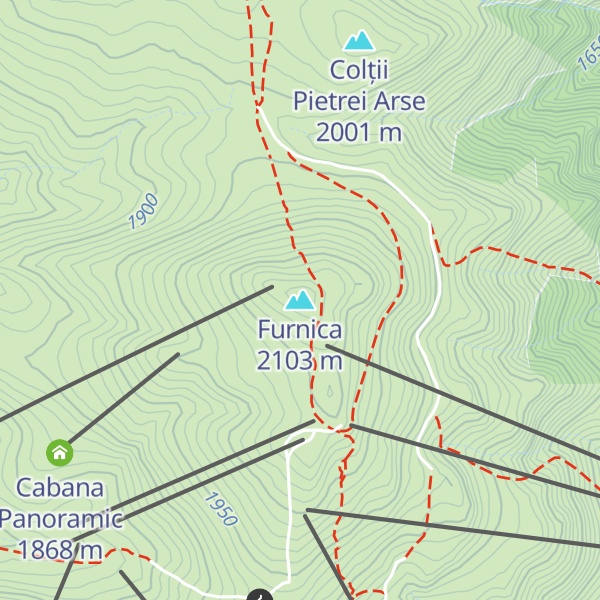 Map of Furnica